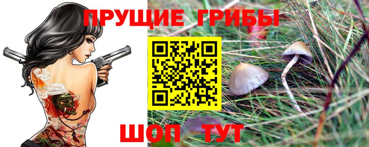 Сатка  Галлюциногенные грибы MAGIC MUSHROOMS  закладки  Вход с VPN 